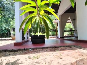 Bundala Resort - Ubytování bez kategorie ve městě Tissamaharama