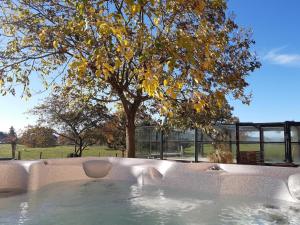 Maisons de vacances Gite familial 14 pers. avec piscine chauffee, spa, sauna, terrains de jeux et borne electrique. - FR-1-496-3 : photos des chambres