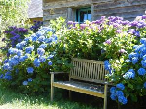 La Bergerie: Maison ancienne avec jardin anglais, 2 chambres - FR-1-497-35