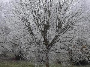 Gîte 80m² avec Terrasse, Wifi et Animaux Acceptés - FR-1-496-113