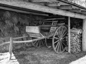 Gîte authentique avec cheminée, animaux admis et WiFi en bordure de forêt - FR-1-496-127