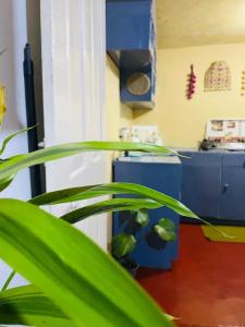 Grymsby Holiday Bungalow