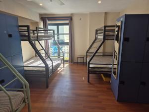 Bed in 6-Bed Female Dormitory Room room in Boardrider Backpackers and Budget Motel