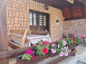 Planinska Kuća Dušan