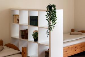 5 bedroom Central Apartment