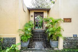 Villa Baliku - everyones favourite