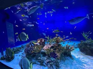 301 湘南 鵠沼海岸 サーフィンに最適なビーチ近くの独立型アパート