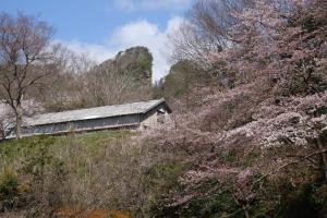 Natural Mind Tour - Vacation STAY 94017v