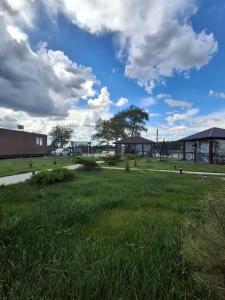 База відпочинку Шалена Жаба