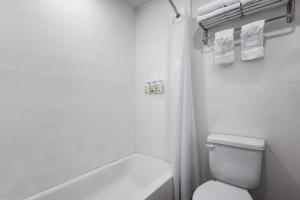 Queen Room with Two Queen Beds - Non-Smoking room in Super 8 by Wyndham York
