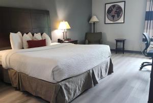 King Room  -  Non-Smoking room in Ramada by Wyndham Luling