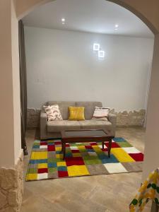 Charming Apartment of Bologna in University Area