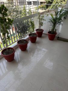 Spacious flat in city center