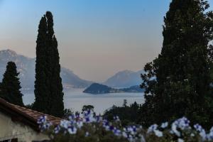 Stay with a Magical Terrace