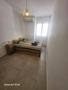 Appartements T2 Ajaccio centre : photos des chambres