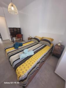 Appartements T2 Ajaccio centre : photos des chambres