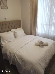 executive catchy two bedroom apartment with swimming pool fully furnished gym ample parking space children playing ground and amazing city views