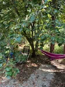 Каравана Синята Маймуна плаж Градина # RV Blue Monkey on the beach