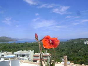 Kavousanos Apartments Lasithi Greece