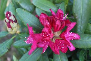 Haus Birkenallee Reckleben GM 69705