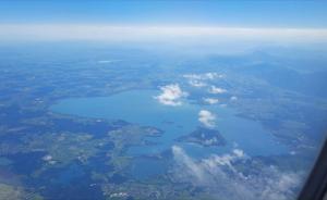 Familiennest Vogelwuid