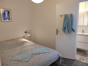Appartements Hyper centre T2 N3 Montlucon : photos des chambres