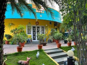 Star Resort And Hotels