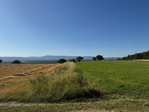 Hotel Zur Alten Schule