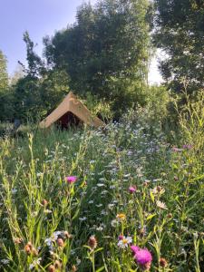 Natuurglamping t Wijland