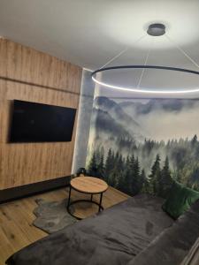 APARTAMENT Z PRYWATNYM GARAŻEM NARCIARSKA 14h