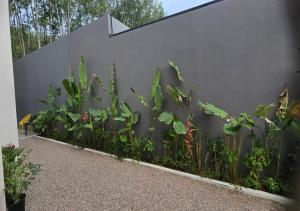 Cactus Villa 2024, 4 BEDROOM