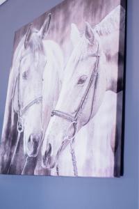 Caribbean tycoon homes