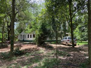 Forests for People, Nidikumba HomeStay