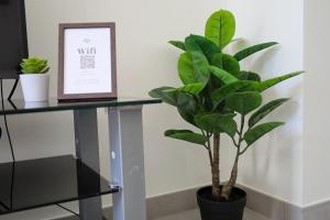 Appartements Chez Viticka : photos des chambres