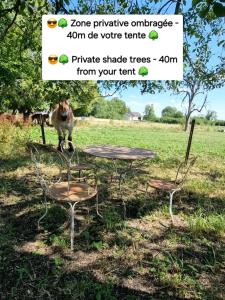 Tente confortable pour 4 personnes