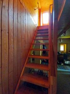 Drevenica pod Kráľovou hoľou