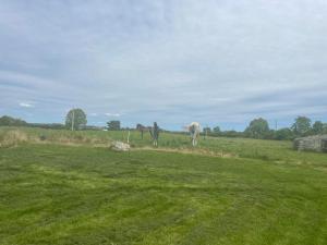 Corrandulla 2 Storey Home-3 Bedrooms