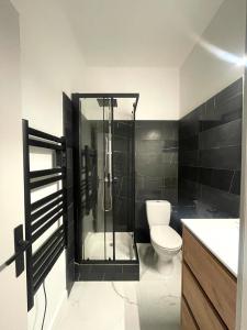 Appartement hyper-centre Rodez