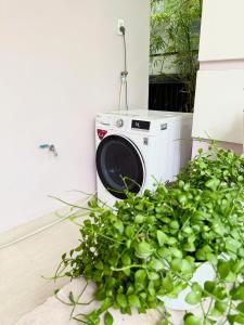 Monets Suite in Garden Villa