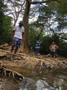 Forests for People, Nidikumba HomeStay