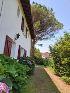 Appartements villa relax : photos des chambres