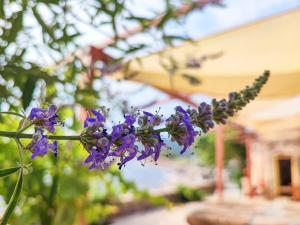 Το Παλιό Αγγειοπλαστείο Τσκαλαδιό