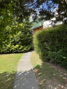 Appartements Appartement COSY au centre L-Aragon : photos des chambres