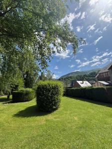 Appartements Appartement COSY au centre L-Aragon : photos des chambres