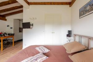 Appartements Studio avec vue sur les montagnes : photos des chambres