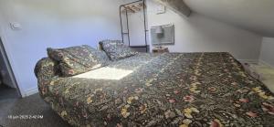 Appartements Escapade sur les Quais : photos des chambres