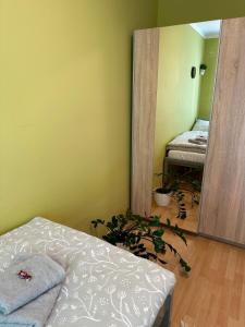 Apartmán Fialka