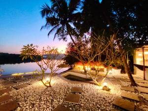 Midsummer Night Dreams