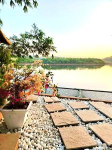 Midsummer Night Dreams