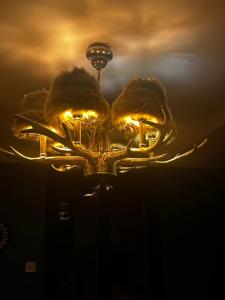 Appartements 